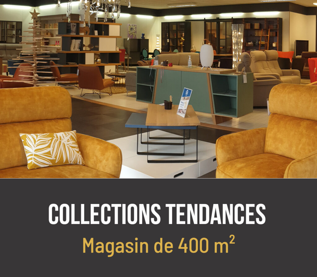 Domaine d'activité Meubles LOIZEAU magasin avec des collections tendance à La Romagne (49)