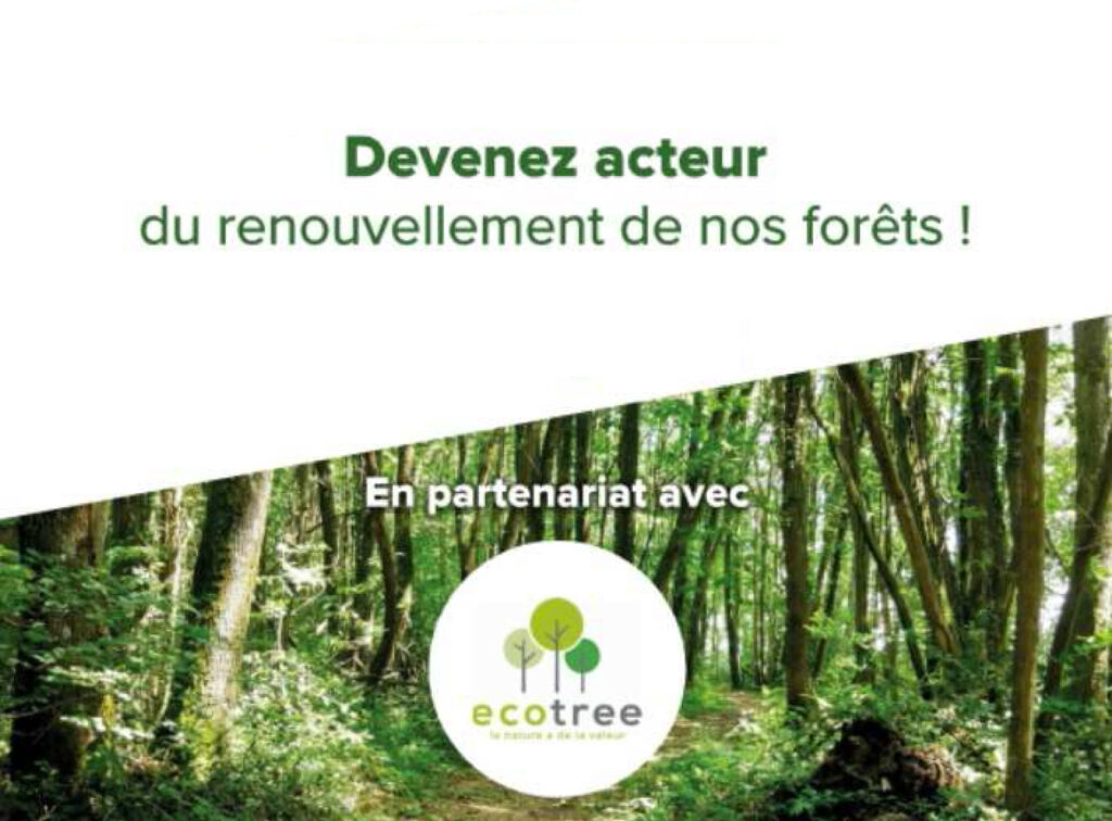 l'ébénisterie Meubles LOIZEAU renouvele la ressource en plantant des arbres grâce à Ecotree Ecotree