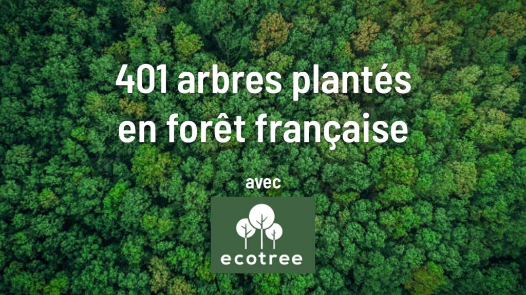 Meubles Loizeau a planté 401 arbres avec Ecotree